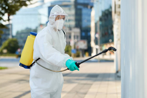 Disinfection